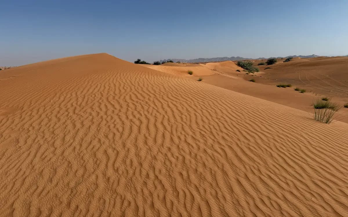 Dubai desert dunes with rippled sand, low shrubs, distant mountains, and clear blue sky.