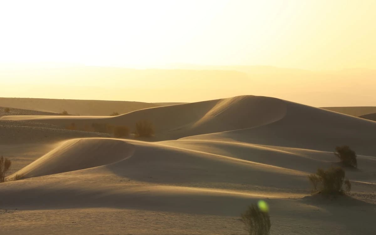 Golden Wadi Araba sand dunes in Jordan with soft desert light, sparse shrubs, and rolling terrain.