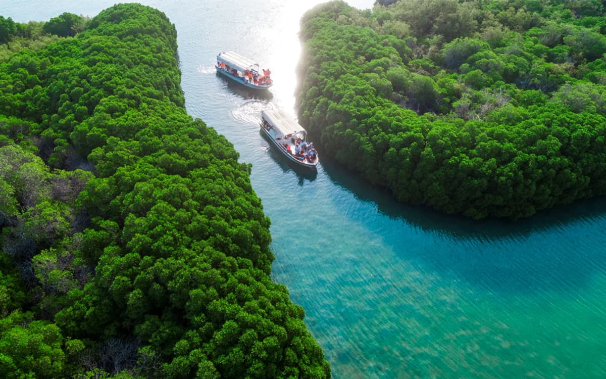 Mangrove-lined waterway in Jazan with boats moving through turquoise water and dense green coastal vegetation.