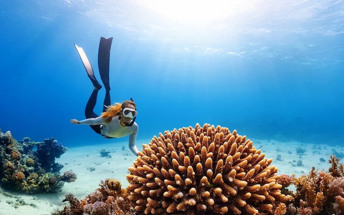 Snorkeler swimming over a Red Sea coral reef with clear blue water, coral formations, and marine life.