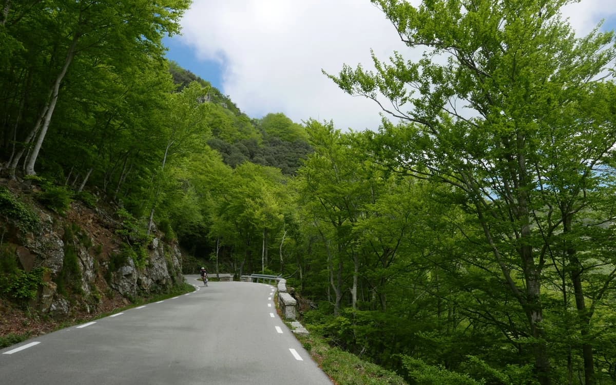 Mountain road in Girona with forested slopes, green trees, and a cyclist moving through a winding pass.