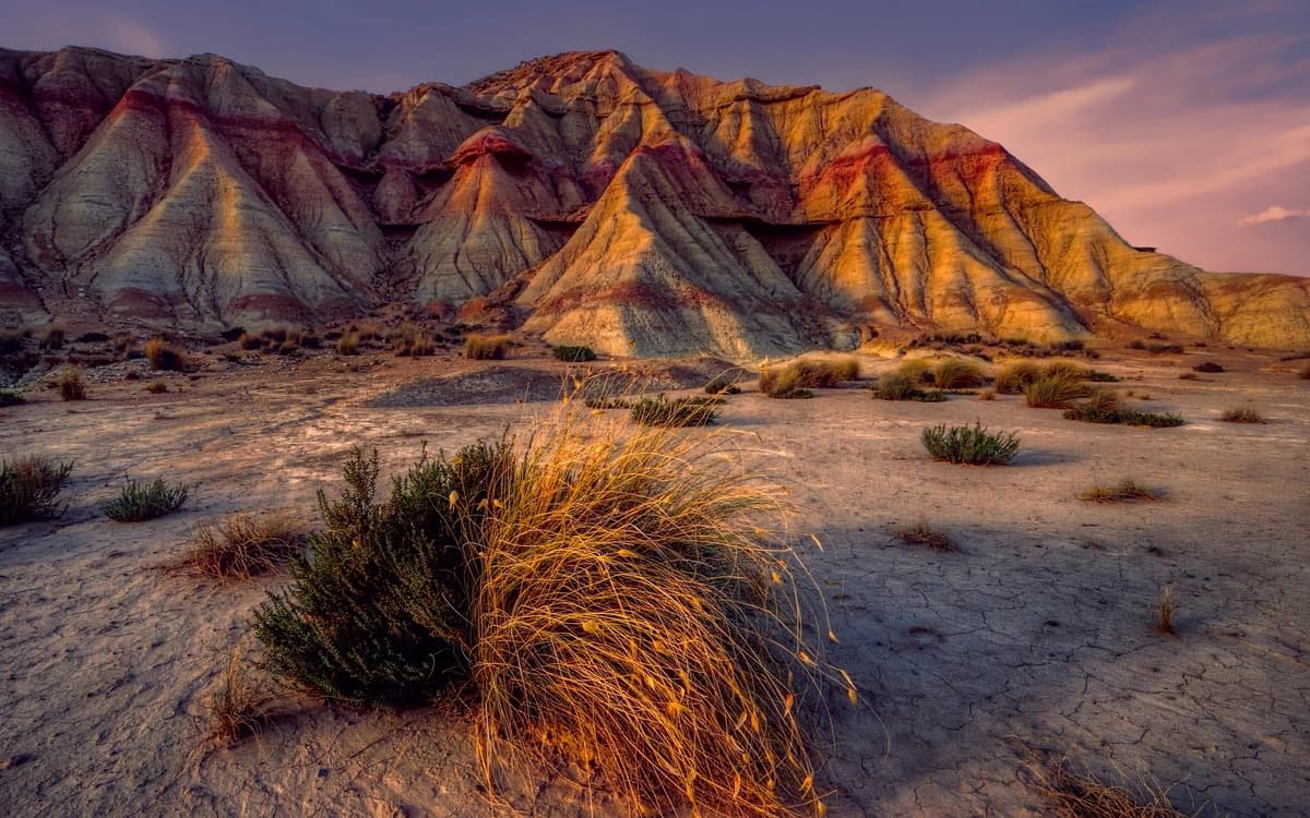Bardenas Reales desert landscape in Navarra with eroded badlands, rocky plateau, dry grasses, and warm evening light.